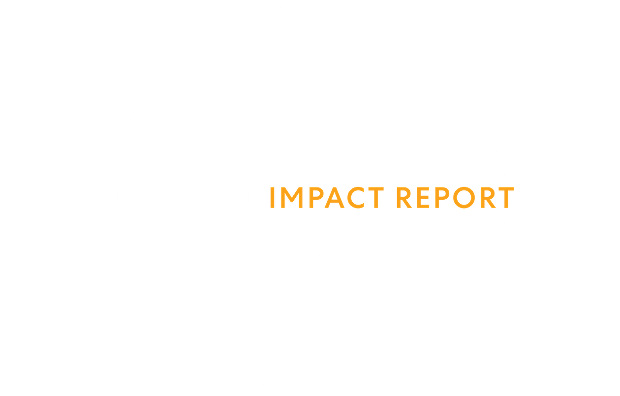Graphical representation of Impact Report 2020 cover page.